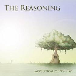 The Reasoning : Acoustically Speaking